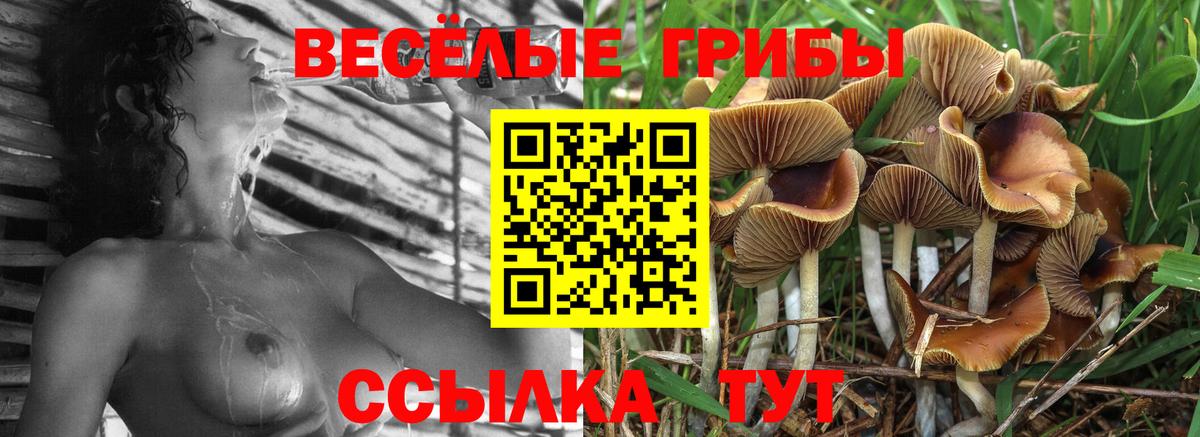 Галлюциногенные грибы мухоморы  Вход с VPN  Киров 